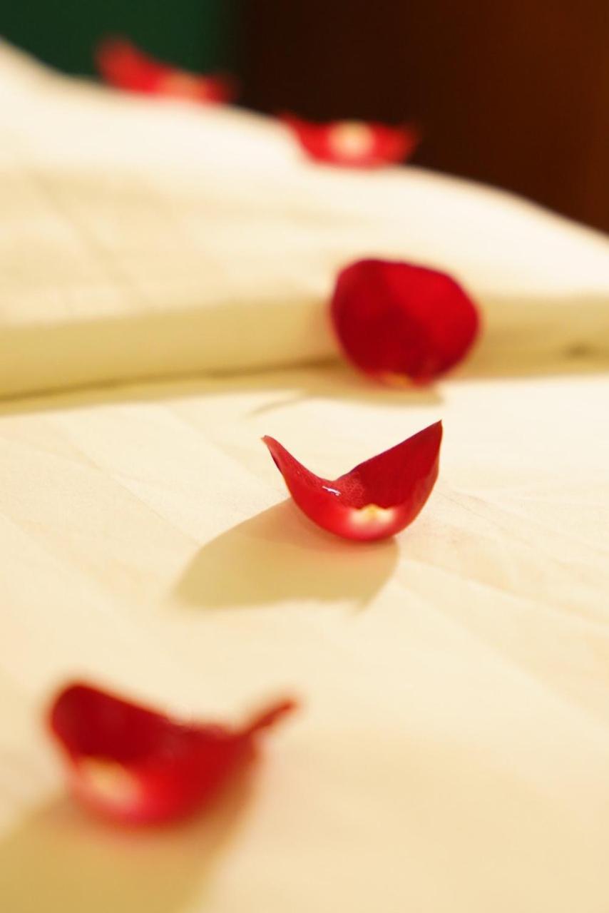 האנוי Nt Elysian Hotel מראה חיצוני תמונה