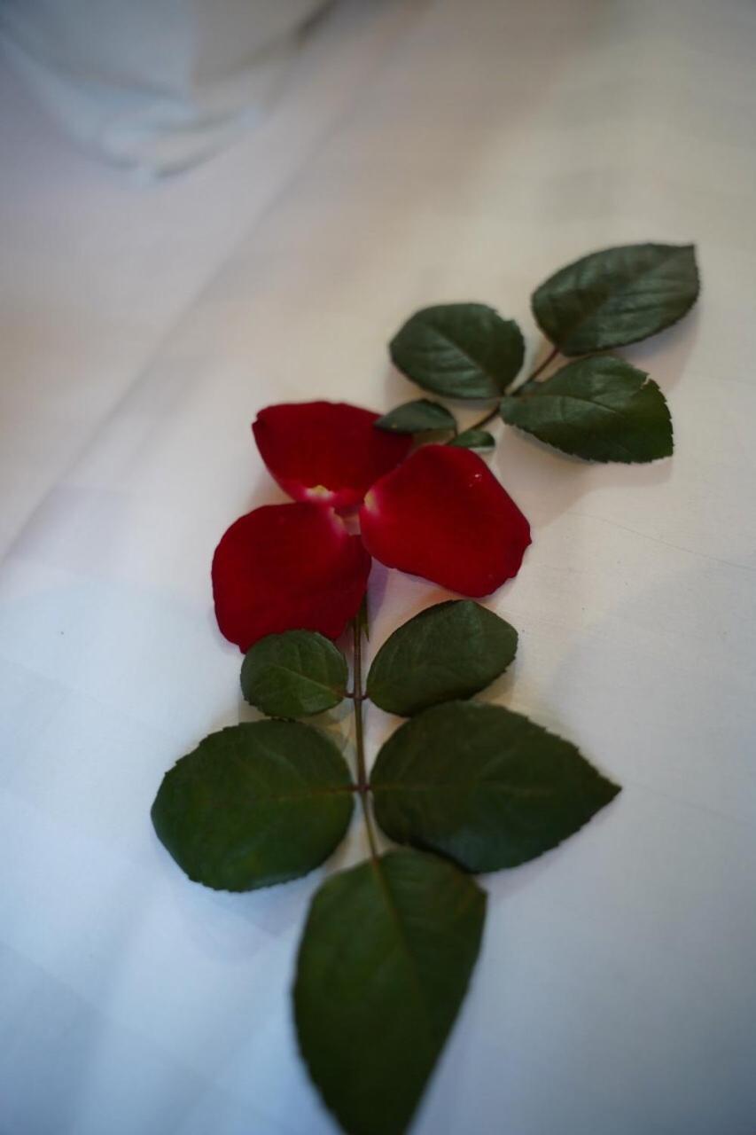 האנוי Nt Elysian Hotel מראה חיצוני תמונה